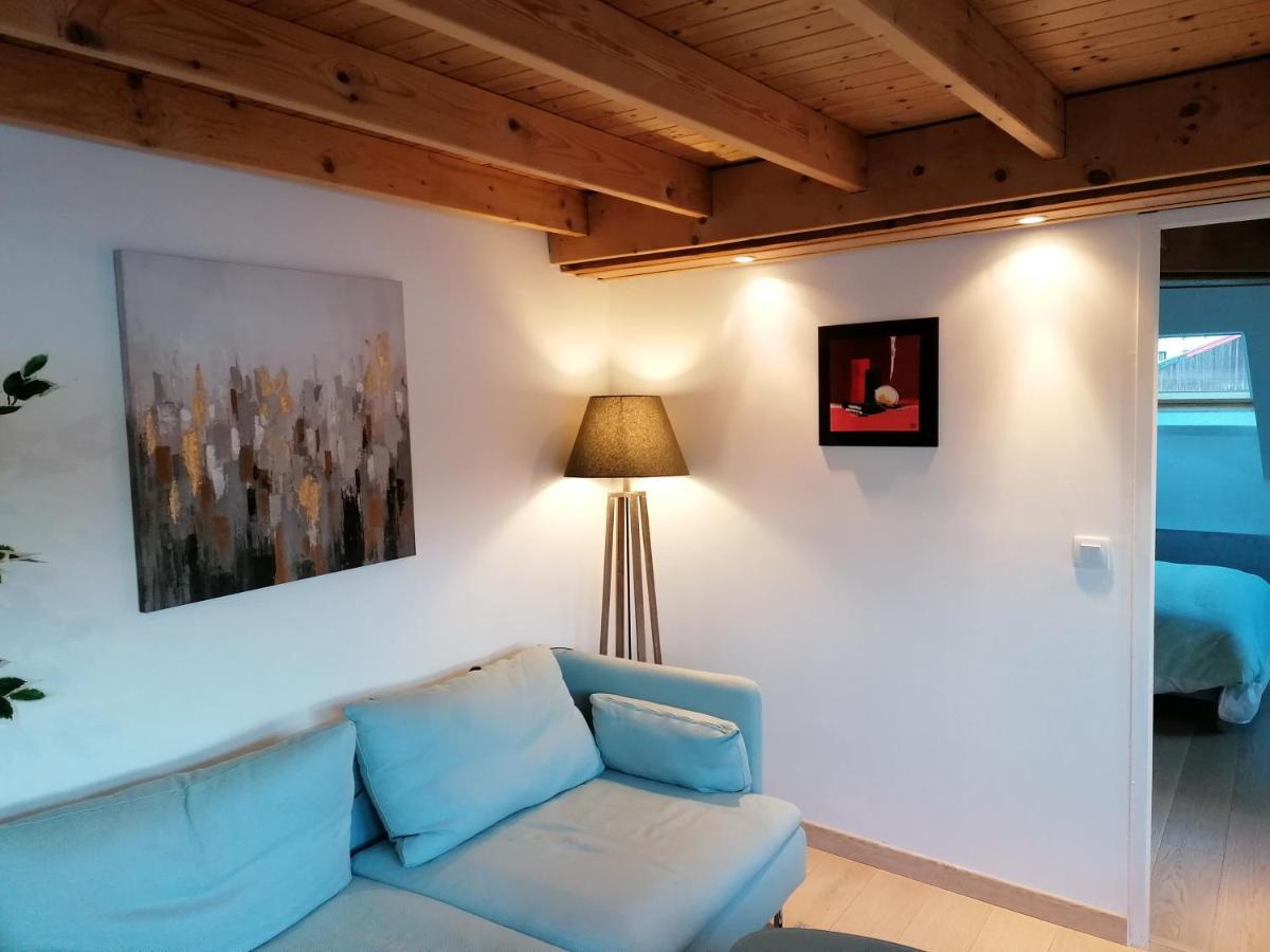 Le Panorama Apartamento Voiron Exterior foto